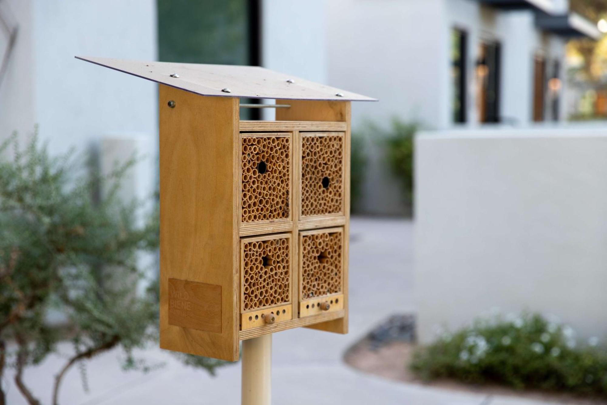 Andaz Scottsdale Resort & Bungalows Luaran gambar